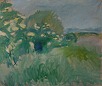 Albert Nauer