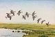 "Flying geese" In light light frame, oil painting on canvas.
