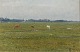 "Fra Copenhagen" Beautiful oil painting in a gold frame, has just been cleaned 
by a professional.